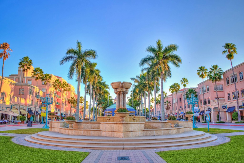 Local South Florida Commercial Retail Consultants